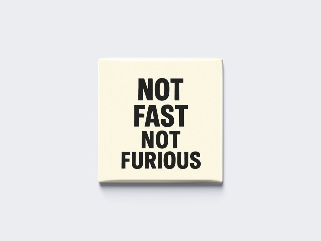 NOT FAST NOT FURIOUS
