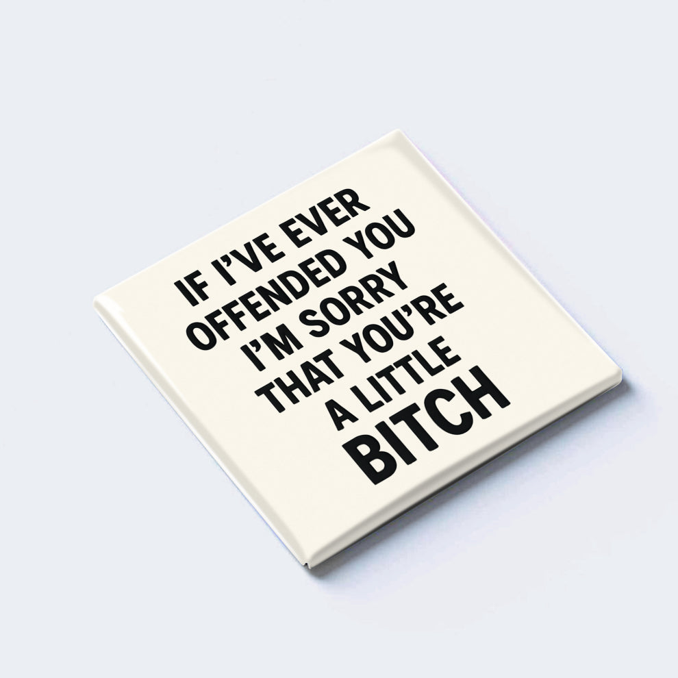 IF I’VE EVER OFFENDED YOU I’M SORRY THAT YOU’RE A LITTLE BITCH