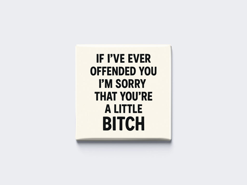 IF I’VE EVER OFFENDED YOU I’M SORRY THAT YOU’RE A LITTLE BITCH
